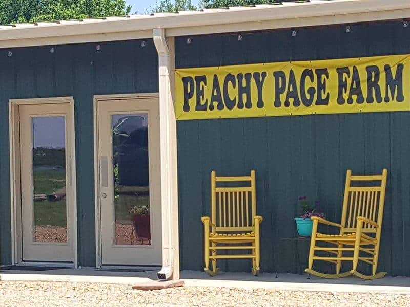 Peachy Page Storefront