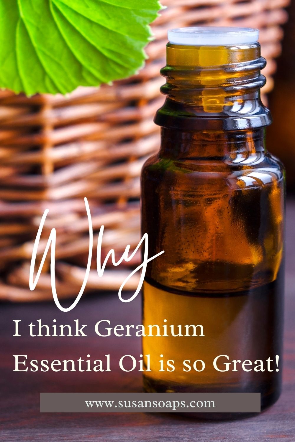 Geranium Essential Oil Why I think it's so great! Susan's Soaps & More