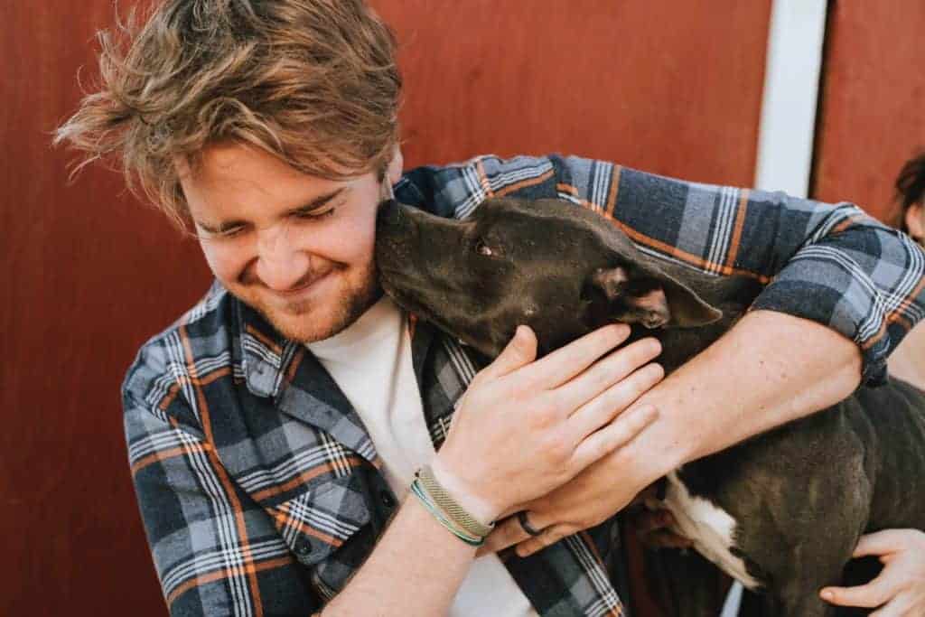 Use essential oils to keep your pets healthy.  Showing Man getting licked by his dog. 