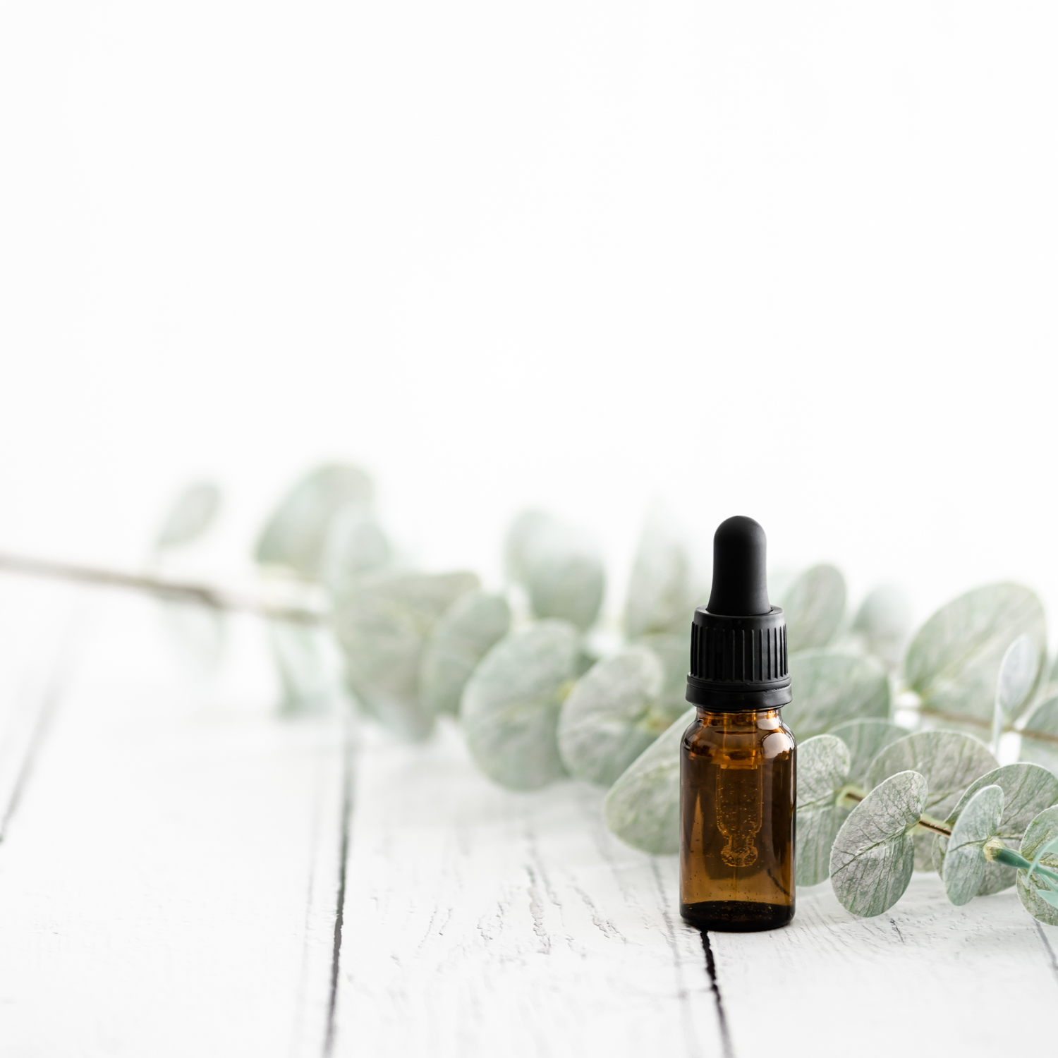 5 Eucalyptus Oil Benefits for Skin Healing Discover the Power of
