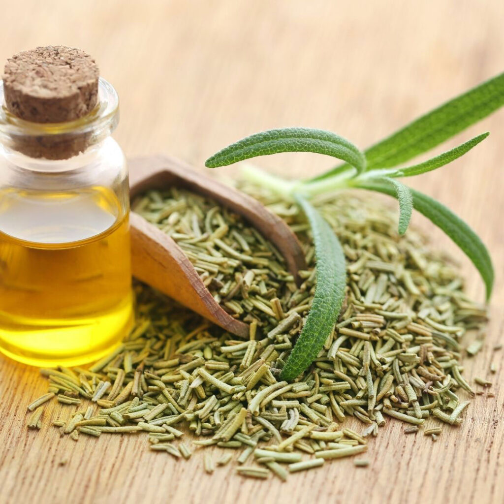 Rosemary oil, dried and fresh rosemary leaves.