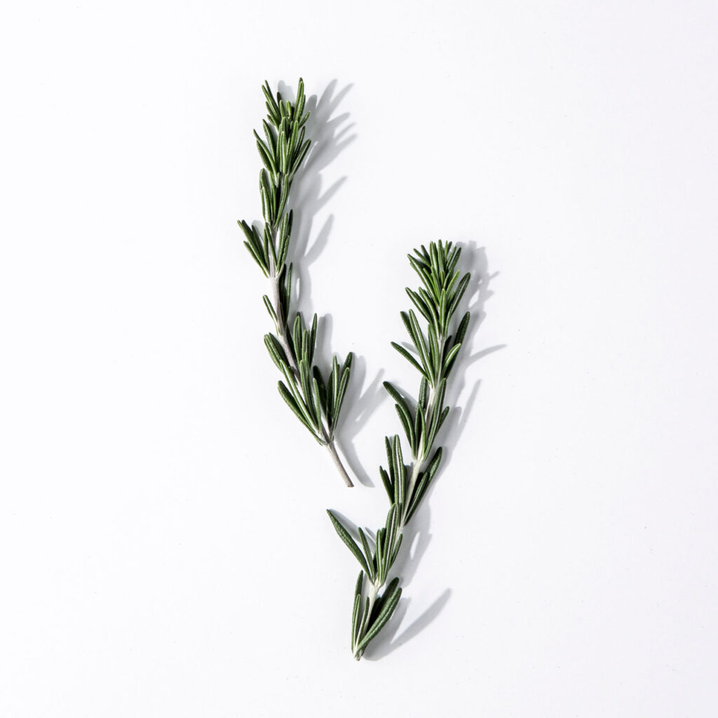 Sprigs of Rosemary