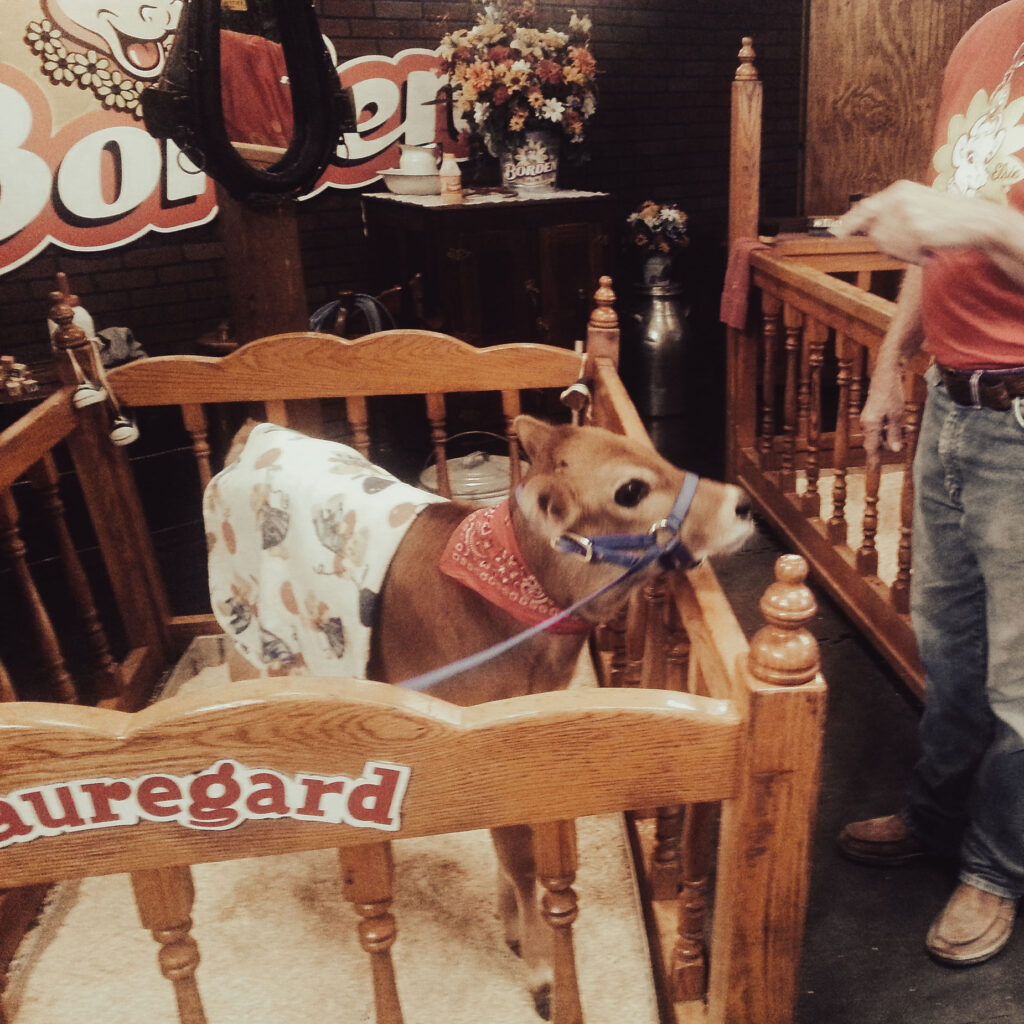 Beauregard at Texas State Fair