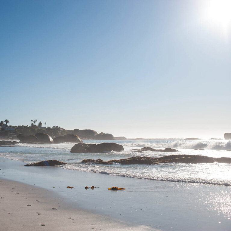 Beach scene