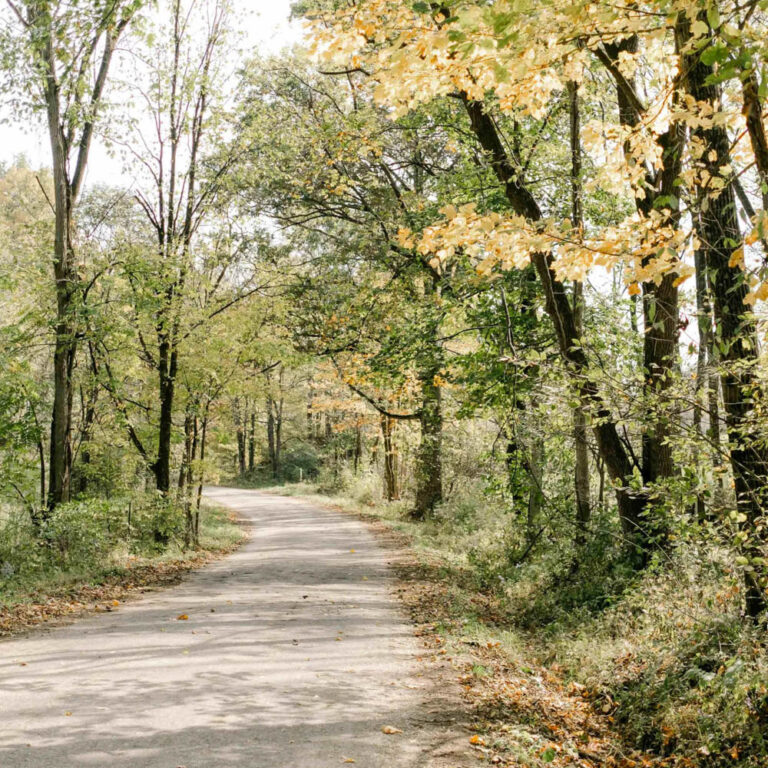 Country Lane