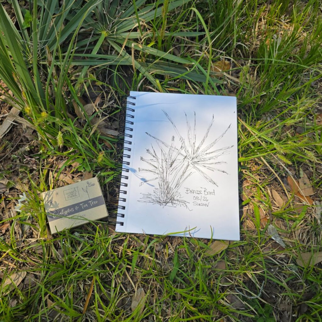 Handmade Soap and my sketch make up part of what peace actually is for me.