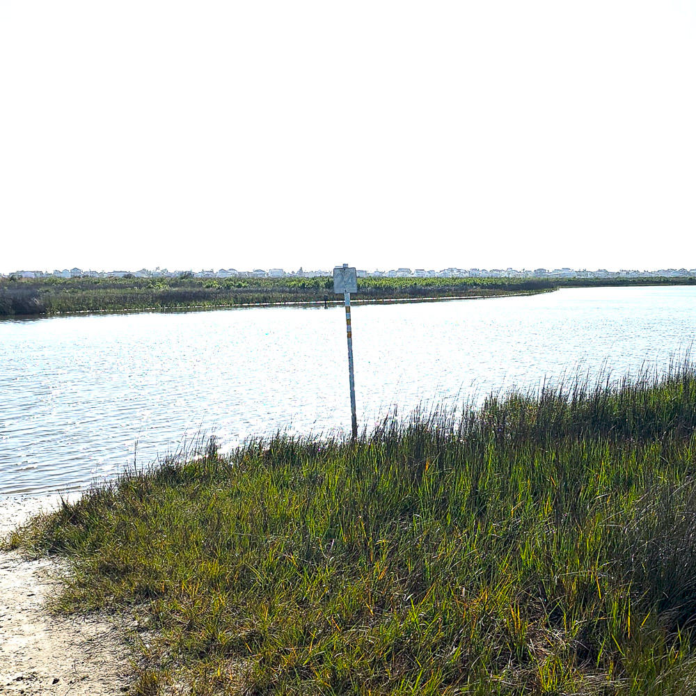 Galveston State Island Park