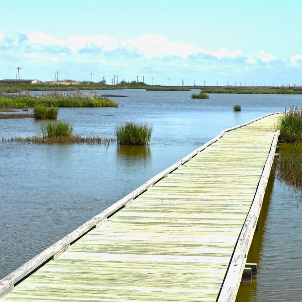 the reset you didn't plan