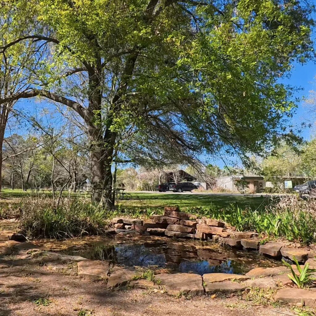 Sheldon Lake State Park Wetland Pond