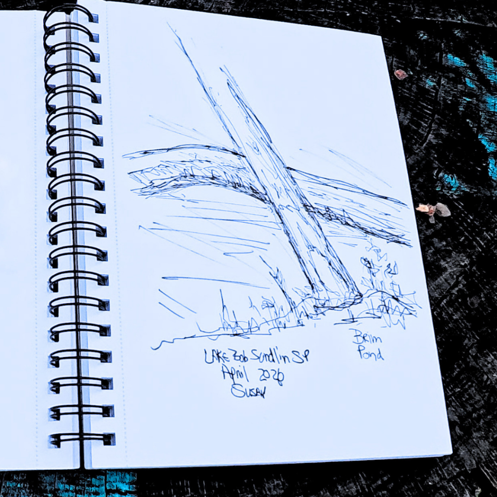 Sketch of Brim Pond at Lake Bob Sandlin State Park