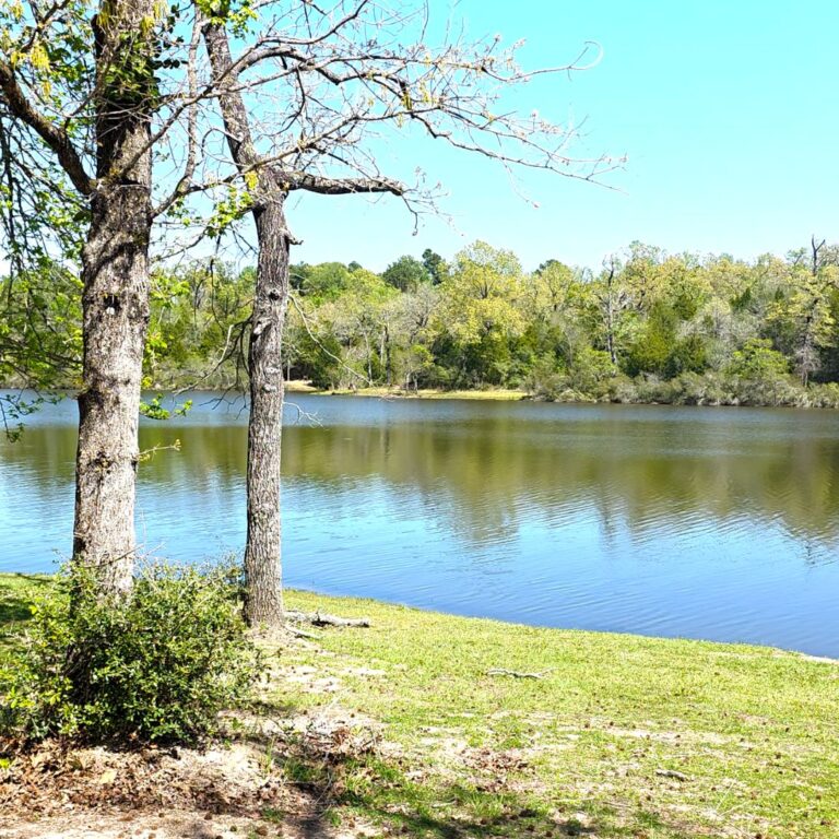 Fort Boggy State Park