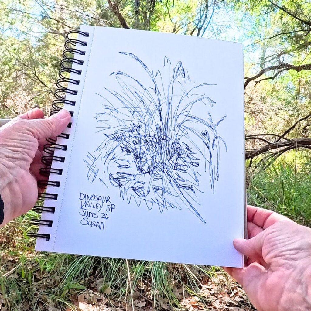Dinosaur Valley State Park Sketch