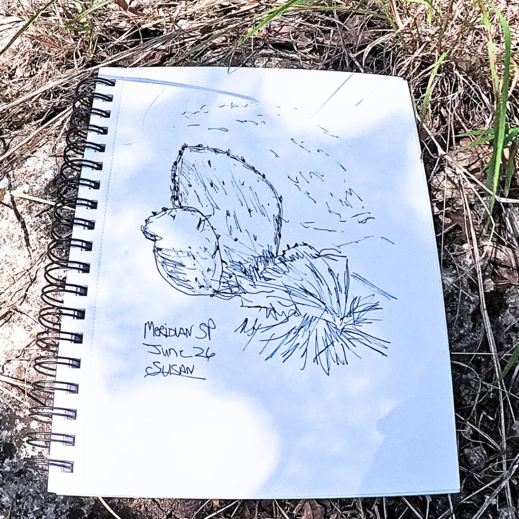 Meridian State Park Sketch