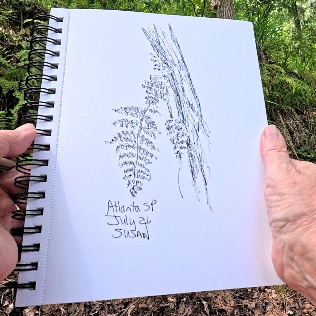 Atlanta State Park Sketch