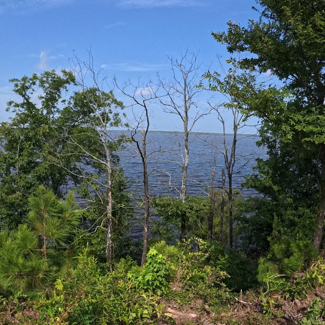 Atlanta State Park