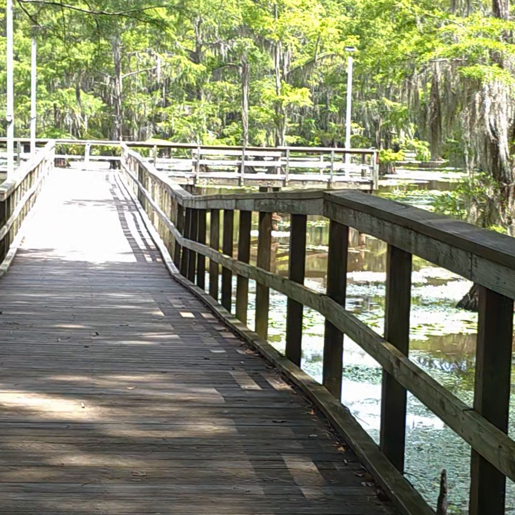 Caddo Lake State Park Pier
