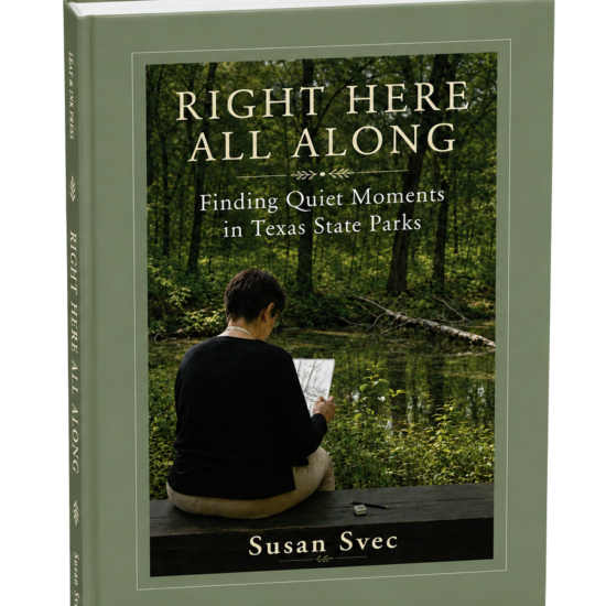 Right Here All Along Book