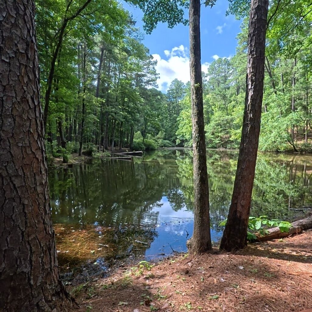Mission Tejas State Park