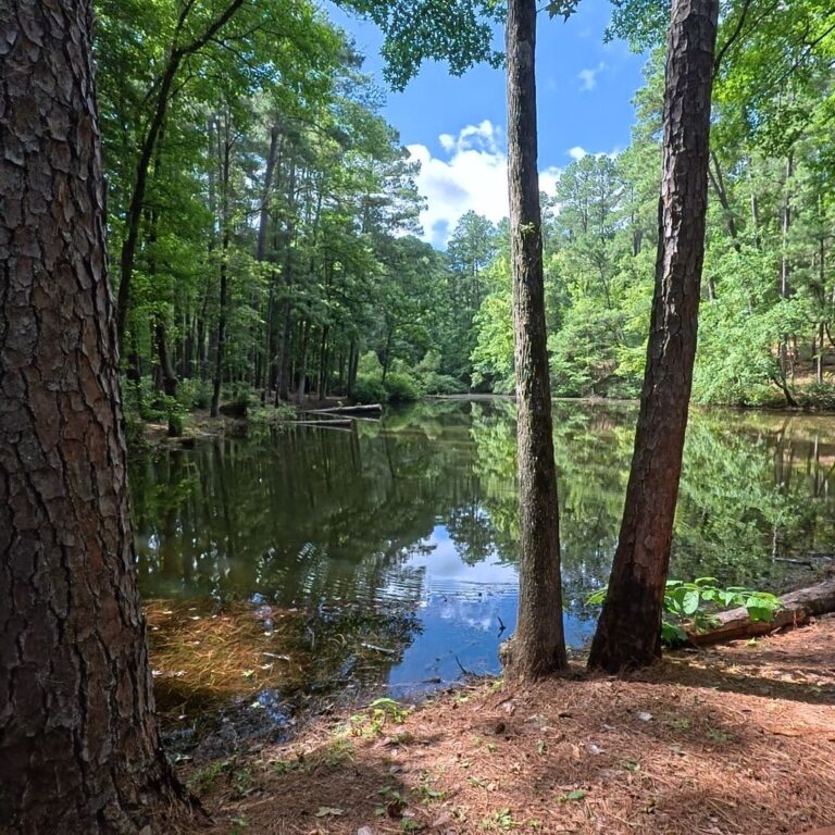Mission Tejas State Park