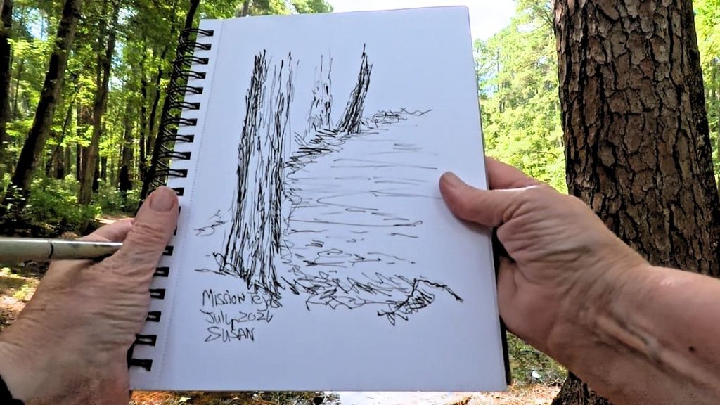 Mission Tejas State Park Sketch